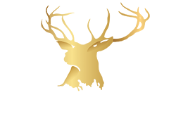 Elkwood Studio Logo